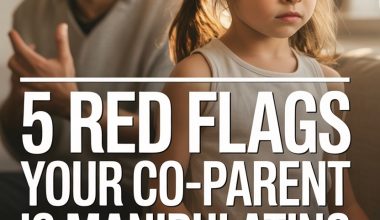 Warning signs of parental manipulation and emotional impact on children during co-parenting conflicts.
