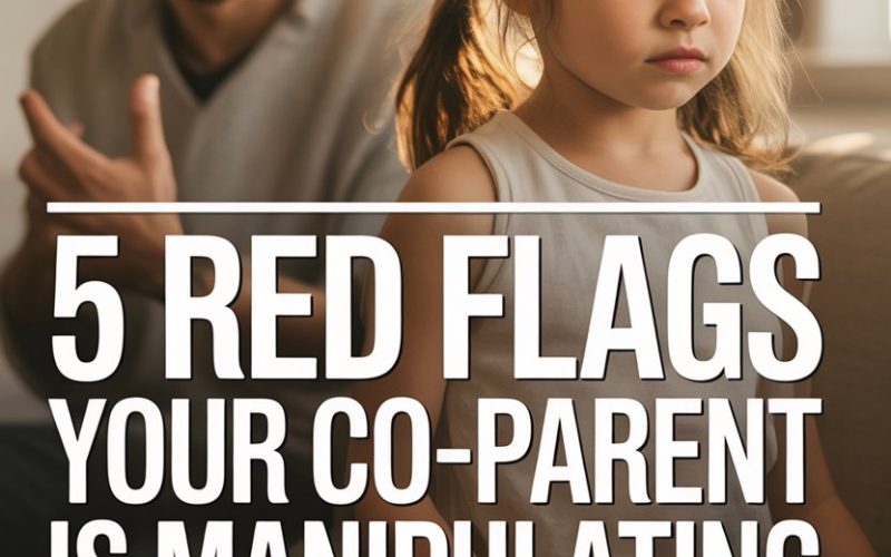 Warning signs of parental manipulation and emotional impact on children during co-parenting conflicts.