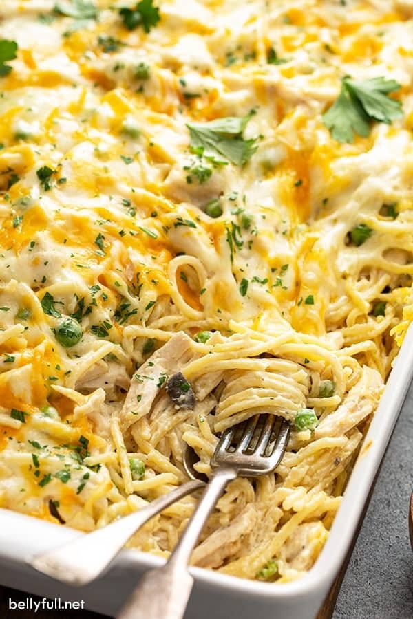 chicken-tetrazzini-2 Chicken tetrazzini with cream sauce and chicken on a white casserole dish with spoon and fork.