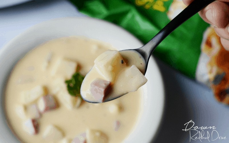 crockpot-ham-and-cheese-soup Ham and cheese soup scooped with a spoon from a white bowl.
