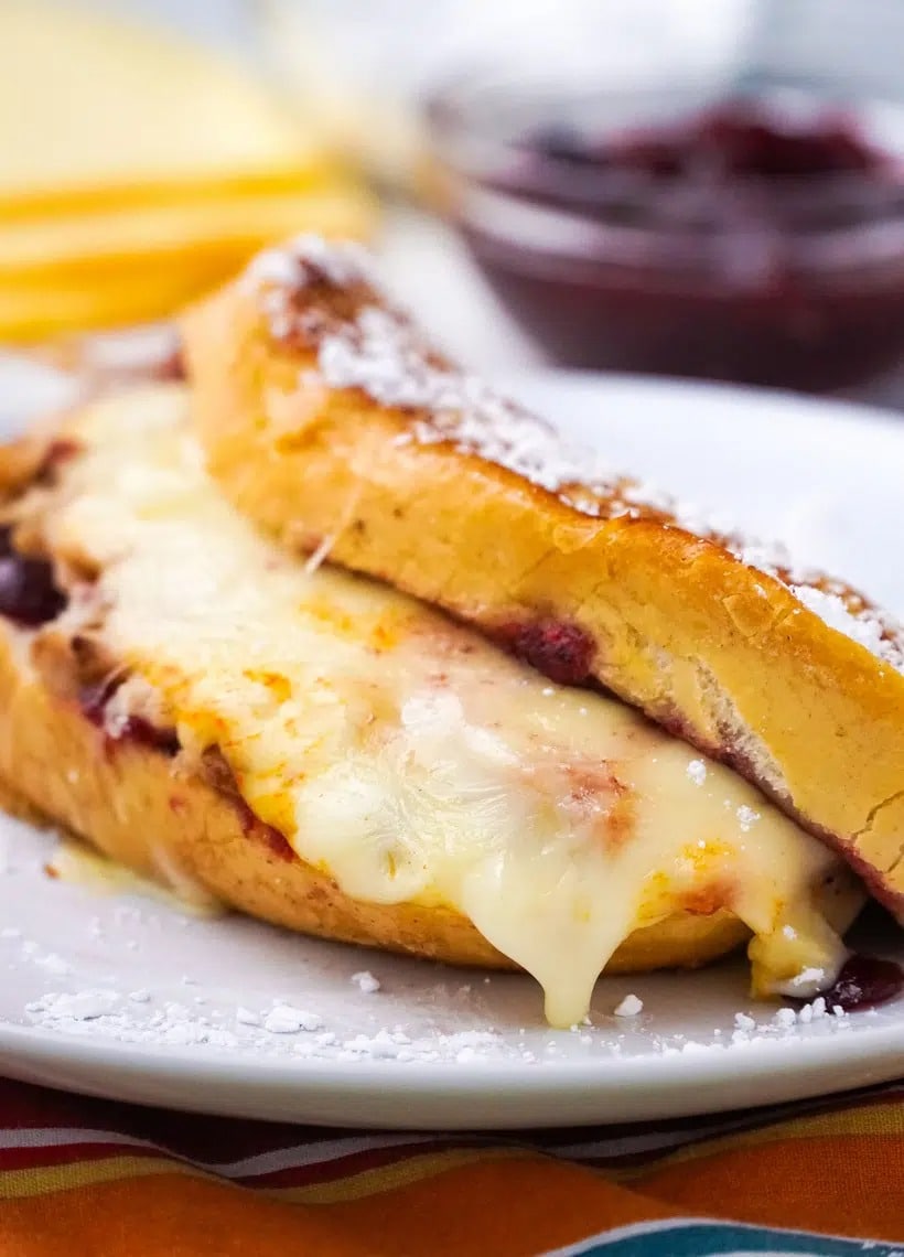 Sandwich with turkey, cheese and cranberry sauce.