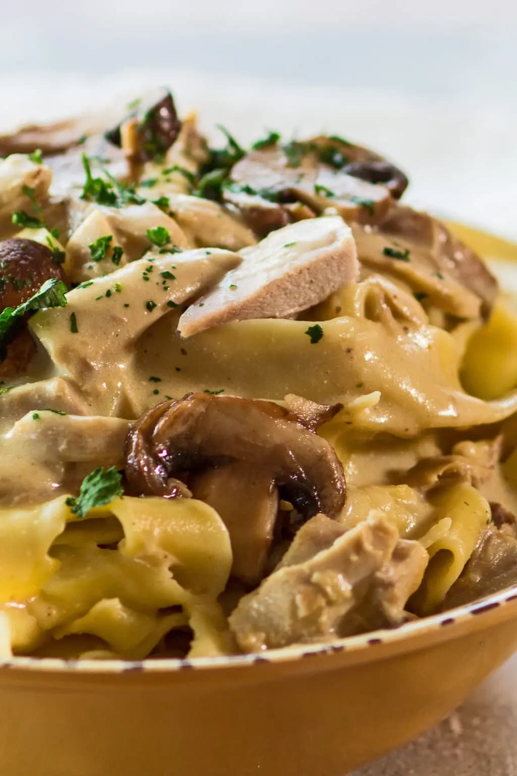 Turkey stroganoff with thick sour cream gravy sauce and dijon mustard, earthy mushrooms, and smoked paprika.