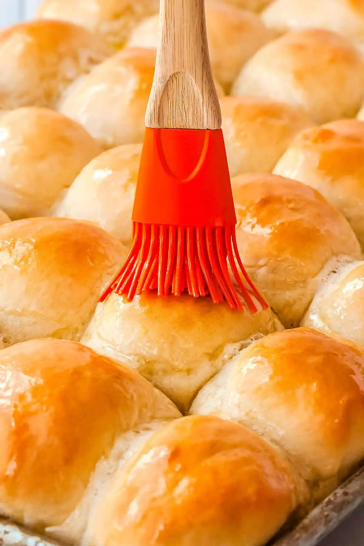 1 Hour Dinner Rolls