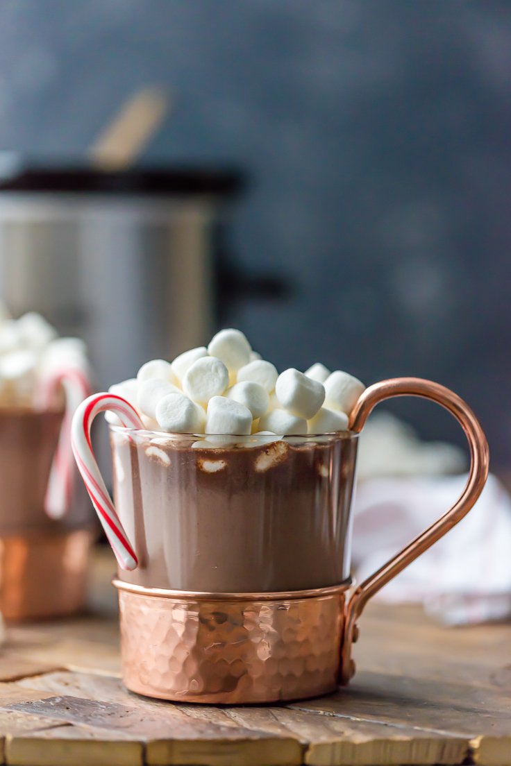 Slow Cooker Peppermint Hot Chocolate
