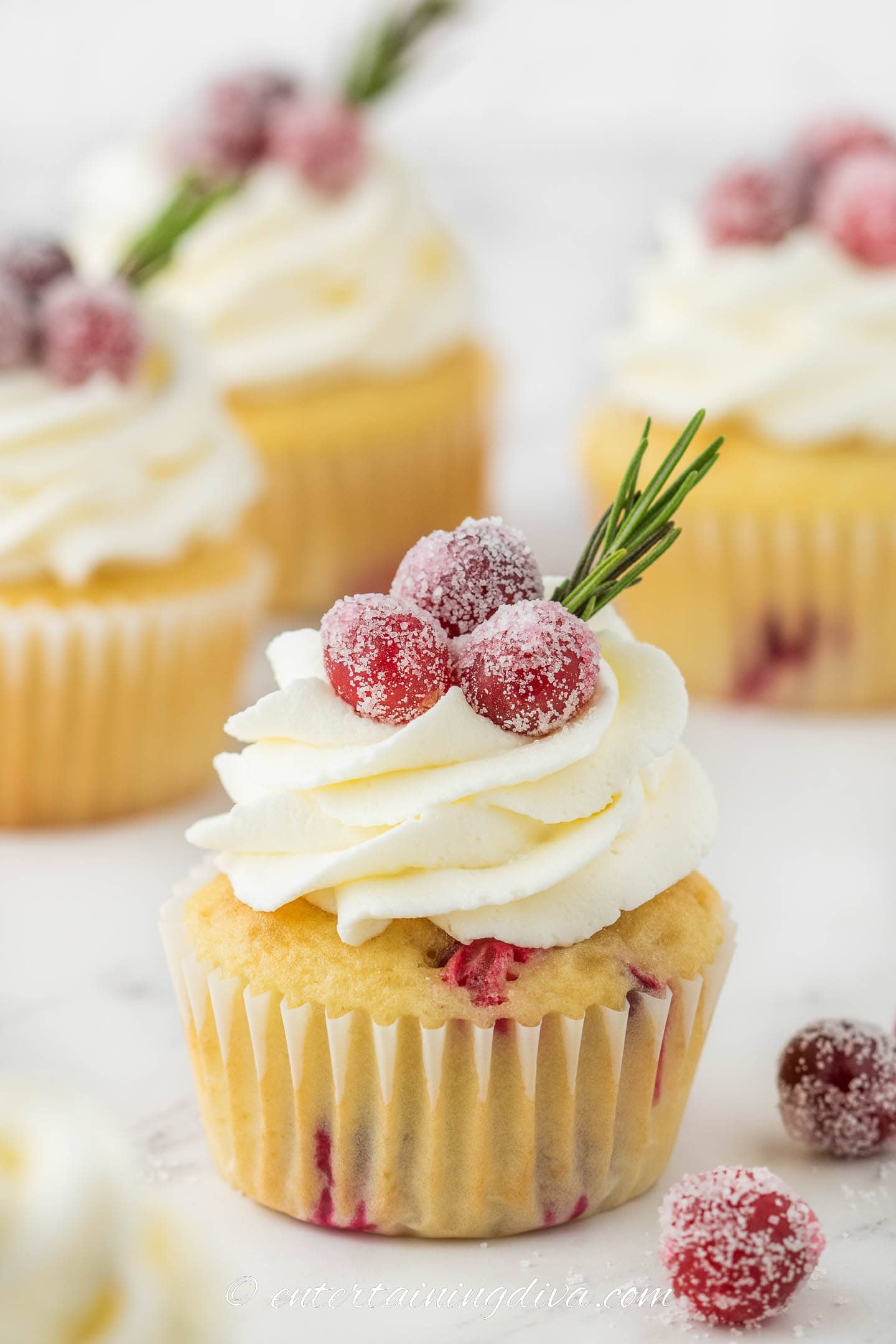 White Chocolate Cranberry Cupcakes