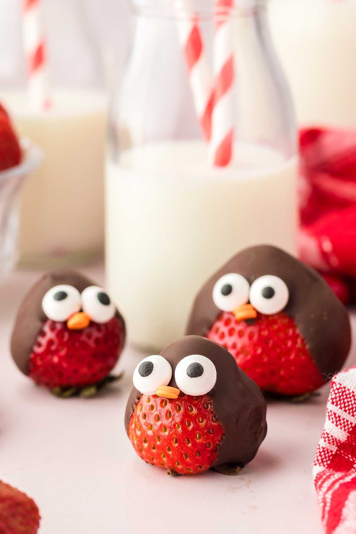 Chocolate Strawberry Birds