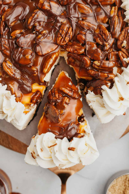 Turtle Pie