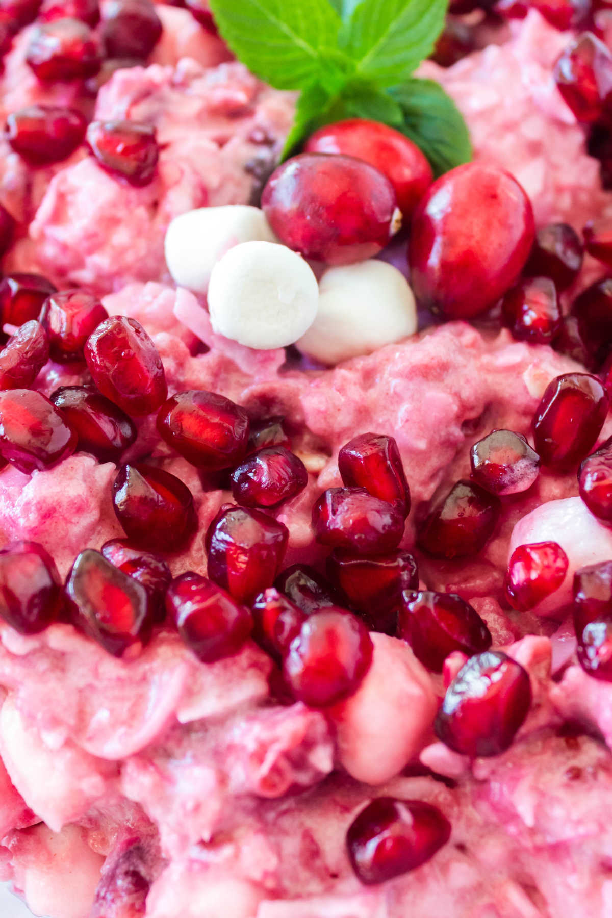 Christmas Cranberry Salad
