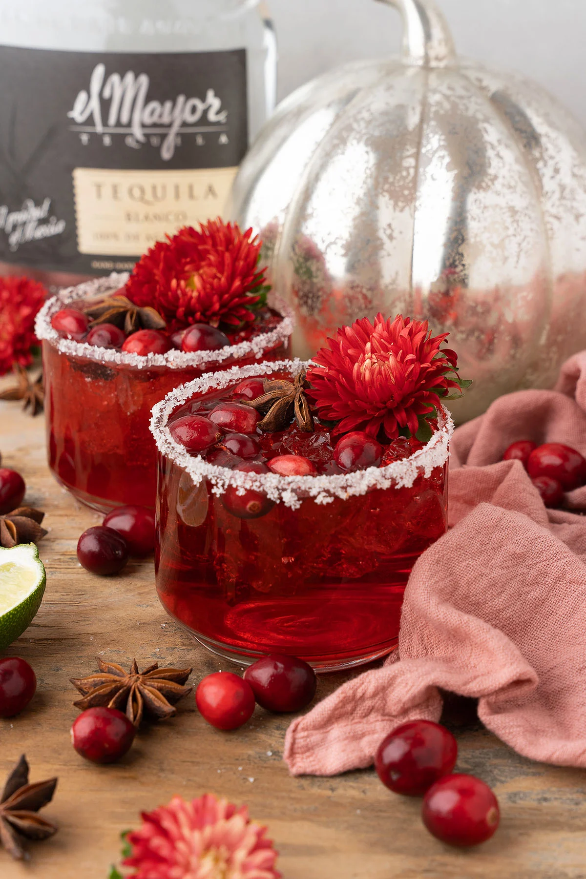 Cranberry Margarita