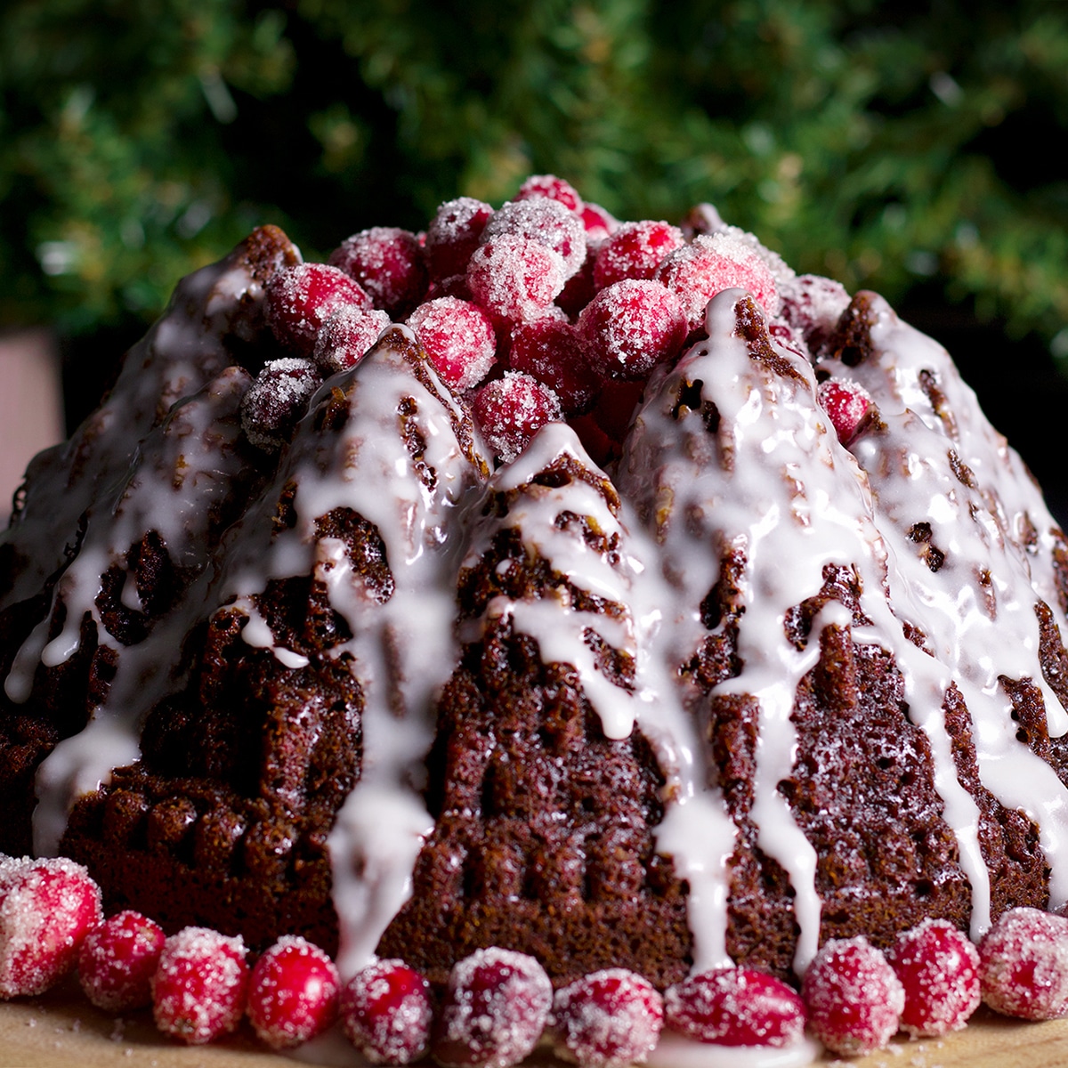 GINGERBREAD BUNDT CAKE WITH CRANBERRIES