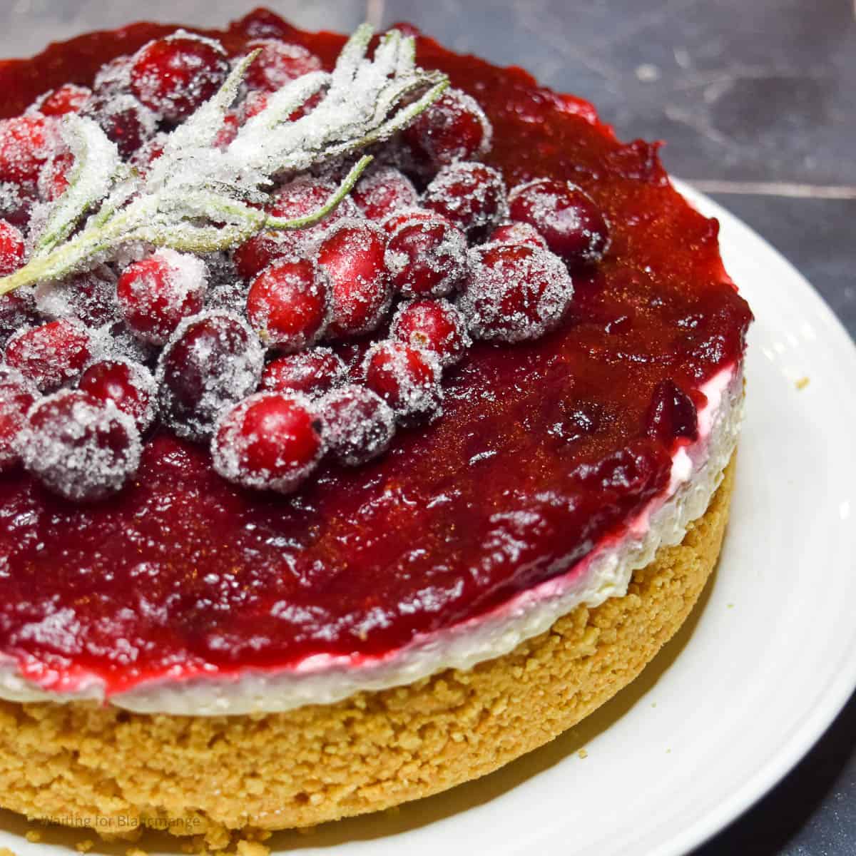 NO-BAKE CRANBERRY CHEESECAKE