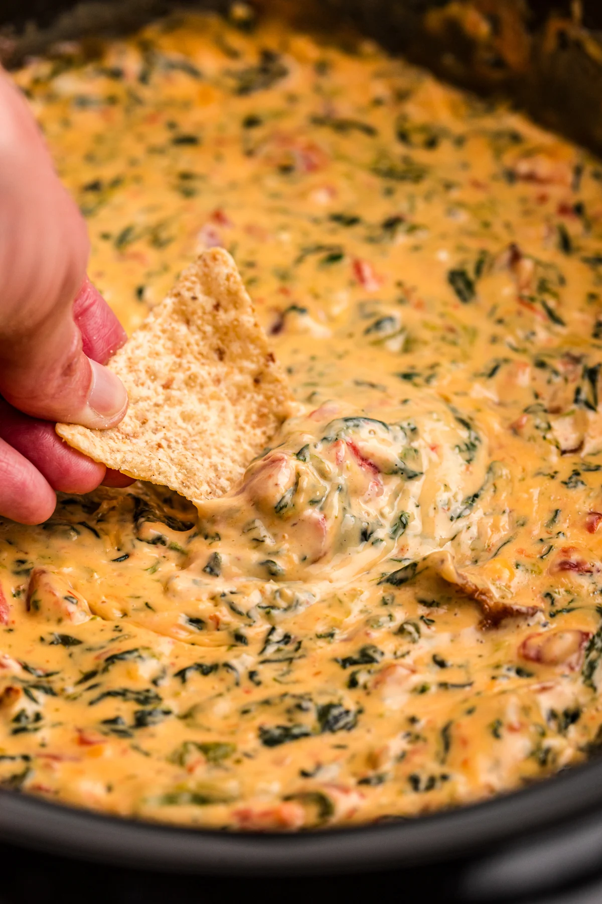 Queso Spinach Dip