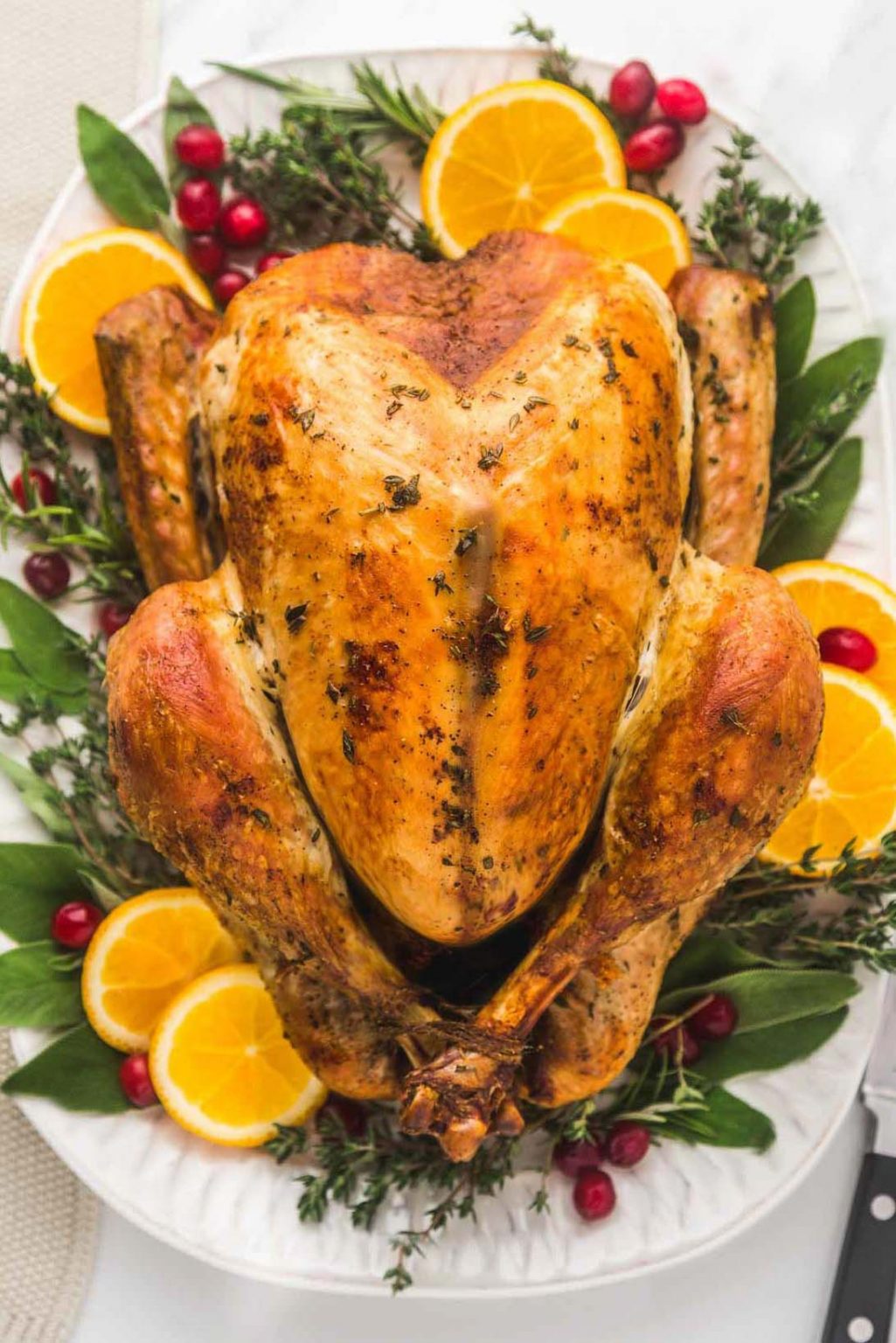 Roast Turkey Recipe